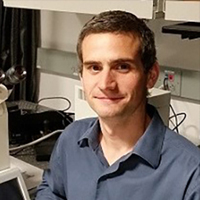 Alfred Millett-Sikking